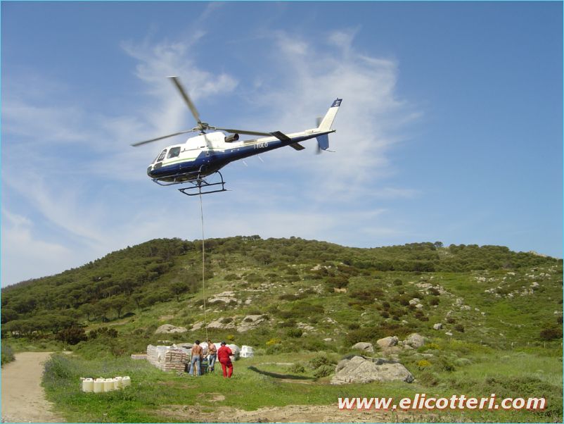 elifoto (55)